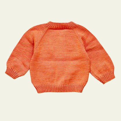 Hand Knitted Unisex Baby Bee Cardigan